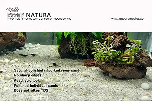 3.Aquatic Remedies River Natura Imported Natural White Sand for Aquascaping (1 KG)