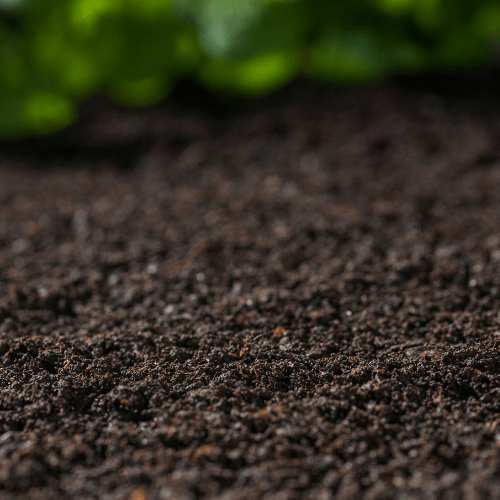 SOIL & SUBSTRATES