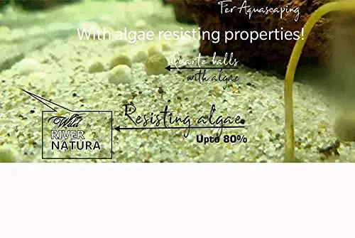 4.Aquatic Remedies River Natura Imported Natural White Sand for Aquascaping (1 KG)